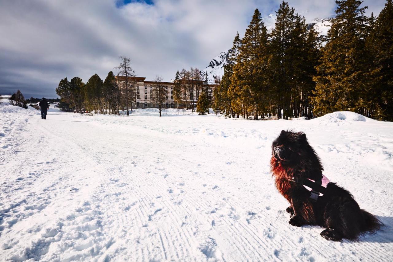 Maloja Palace Residence Engadin-St Moritz Co2-Neutral Екстер'єр фото
